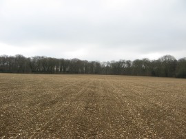 A flinty field