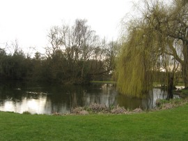 Village Pond, Coleshill