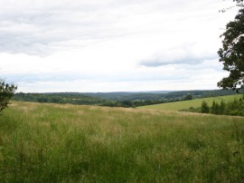 View nr Studdridge Farm