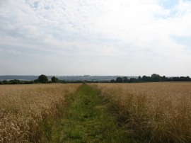 Path from Bledlow Ridge Road