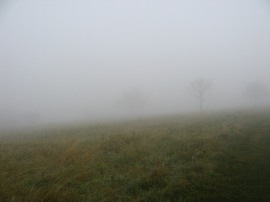 Fog on the Dunstable Downs