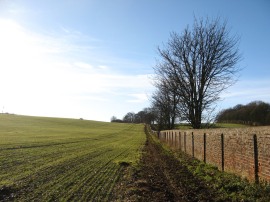 Path alongisde the estate wall