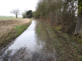 Flooded path nr Chignall Smealy