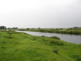 River Cam nr Waterbeach