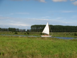 Sail boat on the river