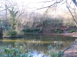 Hurst Pond