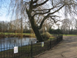 Long Pond, Eltham Park North