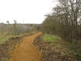 New section of path leaving Chinbrook Meadows