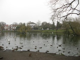 Prickend Pond, Chislehurst