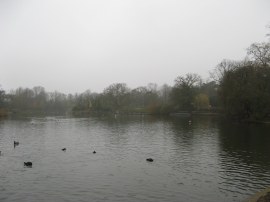 Lower Lake, Crystal Palace Park