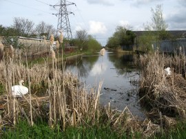 The end of the Slough Arm