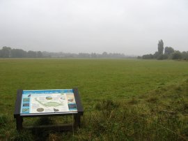 View over Hunsdon Mead