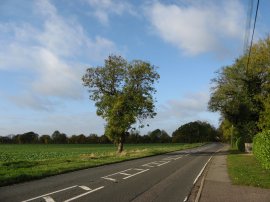 Sawbridgeworth Road, Hatfield Heath