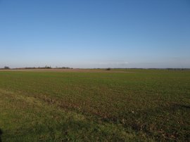 Fields approaching Tilty