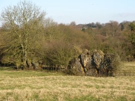 Remains of Tilty Abbey