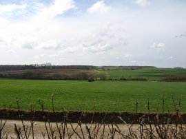 View back to Oldfield Grove