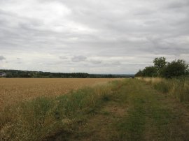 View towards Cambridge