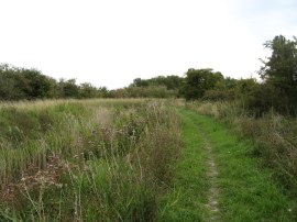 Path alongside the Little Wilbraham River