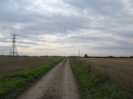The Low Fen Drove Way