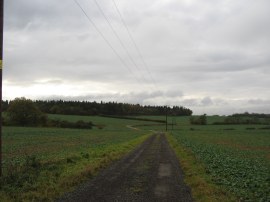 Path from Butlers Farm