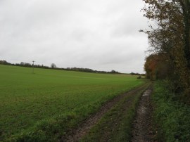 Path towards the Newport Road