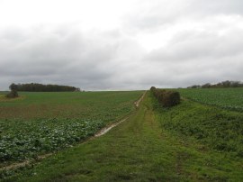 Path nr Brakey Ley Wood