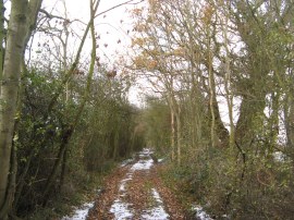 Byway from Bakers End