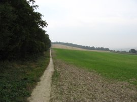 Path by Shoulder of Mutton Wood