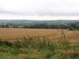 View towards Lenham