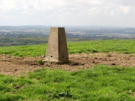 Trig Point, Brabourne Downs