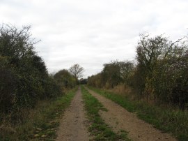 Path leading to Dots and Melon Farm