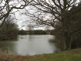 Pond nr Blackmore