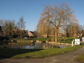 Village Pond