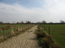 Shingle path approaching Manorbrook Lake