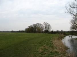 North Meadow, Cricklade
