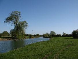 Thames between Cricklade and Castle Eaton