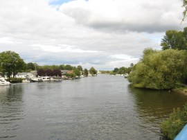River Thames below Walton Bridge