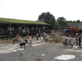 Surrey Docks Farm