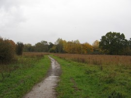 Path from Charville Lane