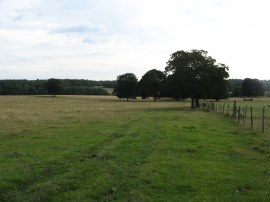 Fields nr Boxley