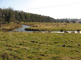 River at Abbotstone