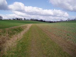 Hertfordshire Chain Walk, nr Blue Hill