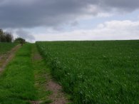 The path heading towards Heath Farm