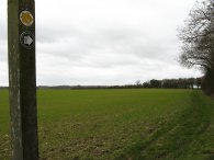 Field, nr Roe Green