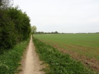 Path towards Willian
