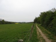 Path towards Stonesley Wood
