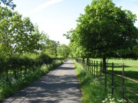 Path past Childwick Bury