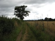 Path towards the A1M