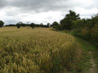 Fields by Warrengate Farm
