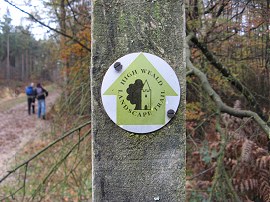 Landscape Trail Way Marker